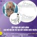 Tập phục hồi chức năng sau mổ nội soi tái tạo dây chằng chéo trước