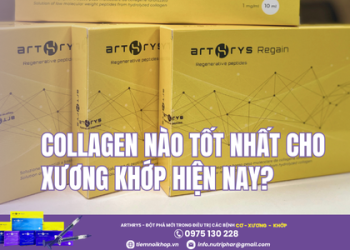 Collagen nào tốt nhất cho xương khớp hiện nay?