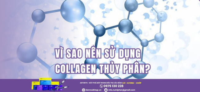 VÌ SAO NÊN SỬ DỤNG COLLAGEN THỦY PHÂN?