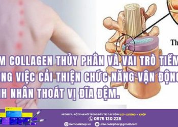 Collagen thủy phân Arthrys giúp bảo vệ cột sống cho bệnh nhân thoát vị đĩa đệm
