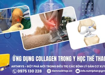 Ứng dụng Collagen trong Y học thể thao