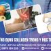 Ứng dụng Collagen trong Y học thể thao