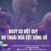 Nguy cơ đột quỵ do thoái hóa cột sống cổ